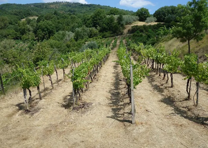 La Collina di Piero